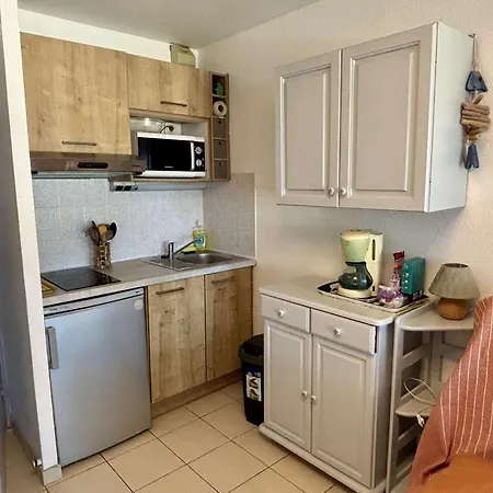 Avec Piscine, A 400m De La Plage, Argeles-sur-mer, 4 Couchages - Fr-1-225-816 Argelès-sur-Mer